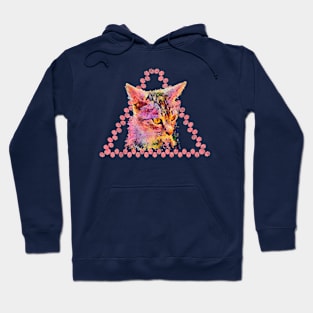 Yellow-eyed cat in a triangle Hoodie